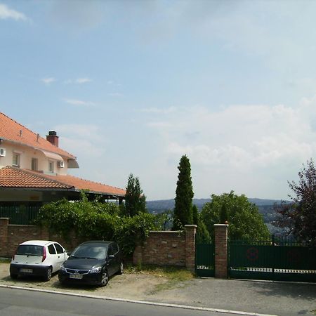 Villa Nevenka Rooms Белград Екстериор снимка